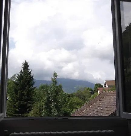 Hotel Du Dauphine Allevard
